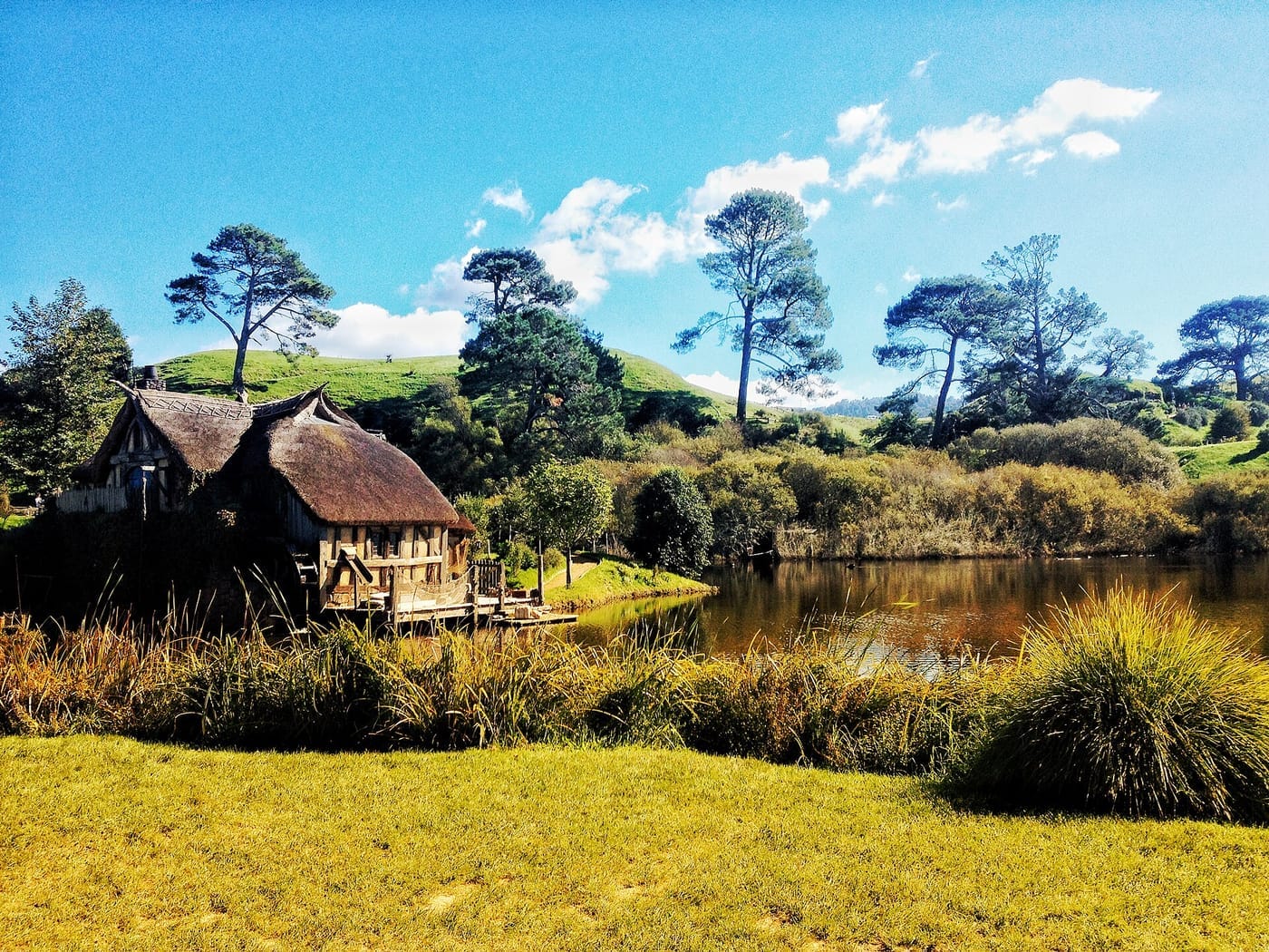Hobbiton Movie Set